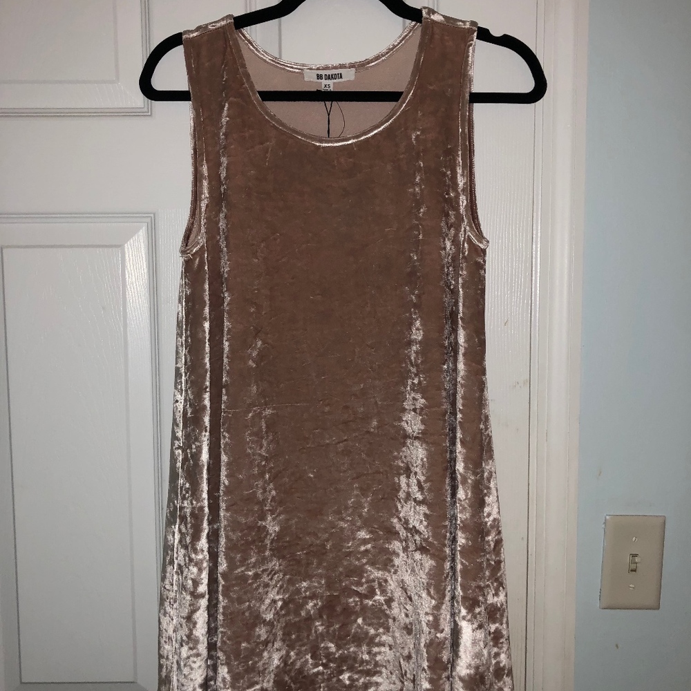 BB Dakota Dress
